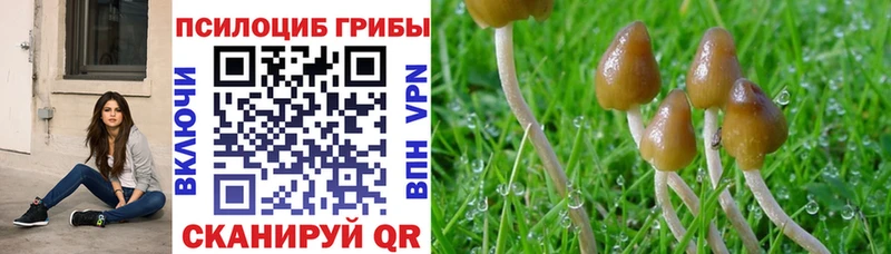 Купить где  Геленджик  Галлюциногенные грибы Magic Shrooms 